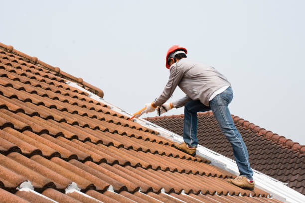 Best Roof Moss and Algae Removal  in Madison, AL